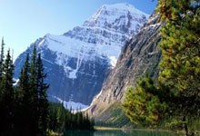 企业财务审计06072,企业财务审计的起点和归宿是